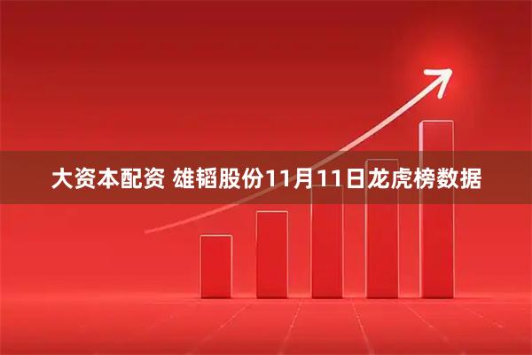 大资本配资 雄韬股份11月11日龙虎榜数据