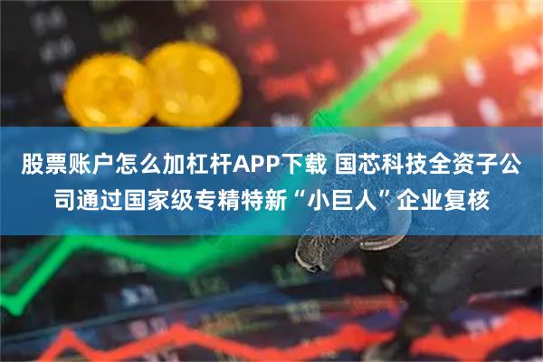 股票账户怎么加杠杆APP下载 国芯科技全资子公司通过国家级专精特新“小巨人”企业复核