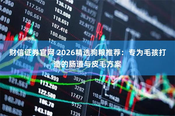 财信证券官网 2026精选狗粮推荐：专为毛孩打造的肠道与皮毛方案